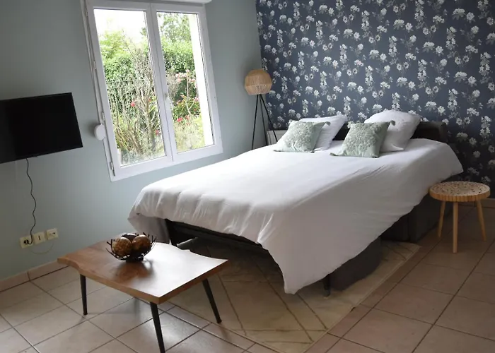 L\'Aquarelle - Appartement Cosy, Groupamastadium Ldlc Arena