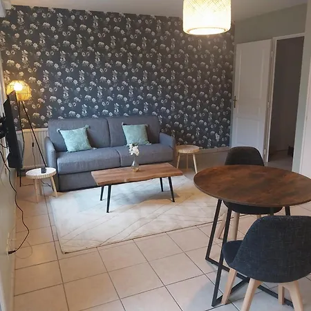 L'Aquarelle - Appartement Cosy, Groupamastadium Ldlc Arena Meyzieu Exterior photo