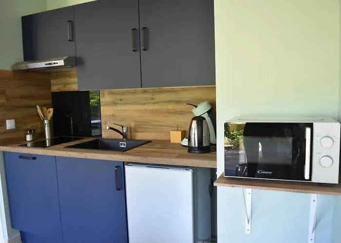 L\'Aquarelle - Appartement Cosy, Groupamastadium Ldlc Arena