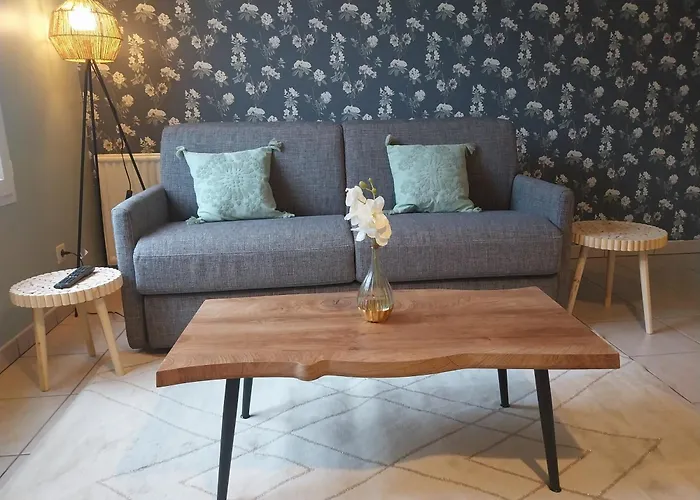 L\'Aquarelle - Appartement Cosy, Groupamastadium Ldlc Arena